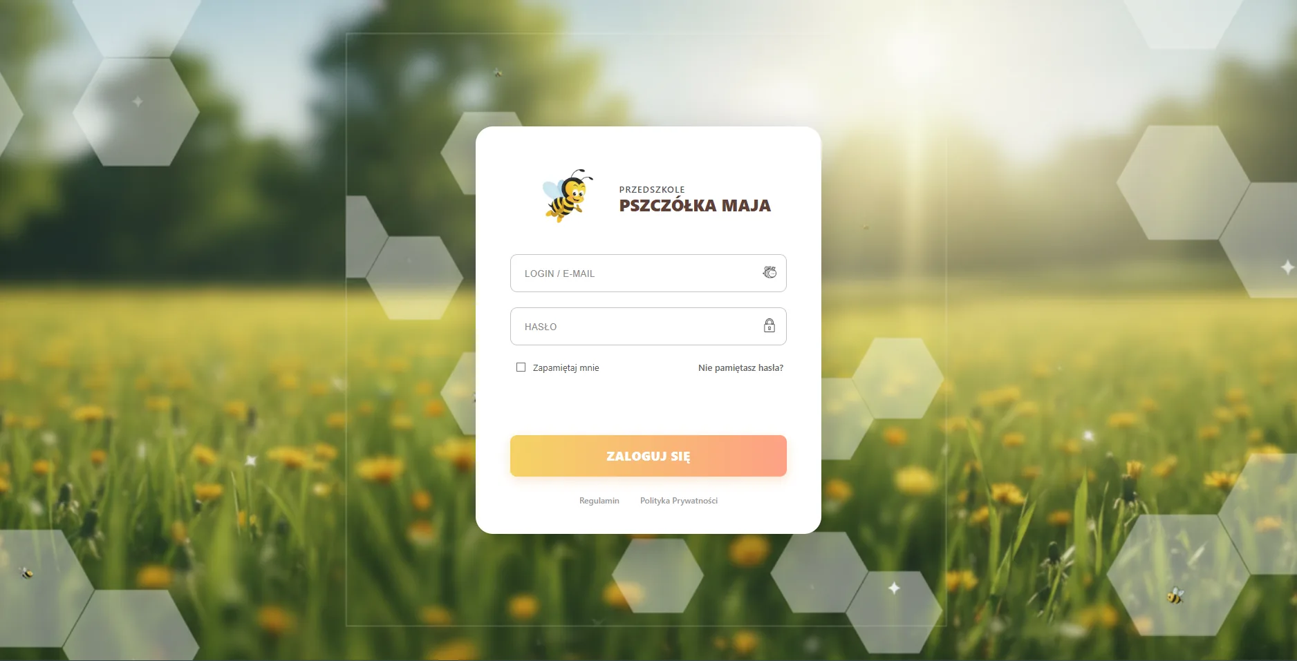 Zrzut ekranu panelu logowania